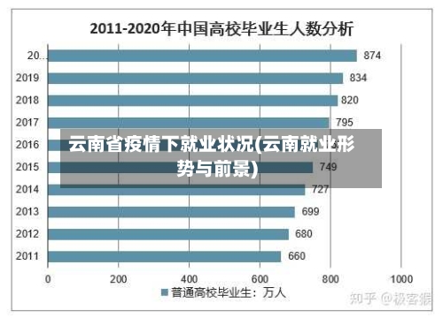 云南省疫情下就业状况(云南就业形势与前景)-第2张图片