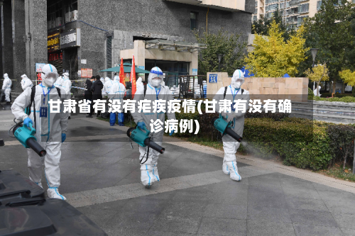 甘肃省有没有疟疾疫情(甘肃有没有确诊病例)-第2张图片