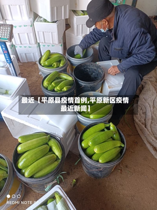 最近【平原县疫情首例,平原新区疫情最近新闻】-第1张图片