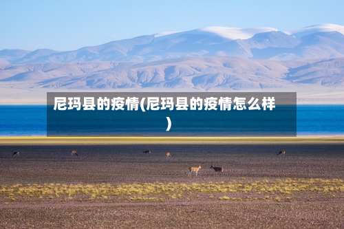 尼玛县的疫情(尼玛县的疫情怎么样)-第3张图片