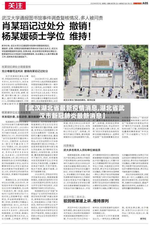 【武汉湖北省最新疫情消息,湖北省武汉市新冠肺炎最新消息】-第2张图片