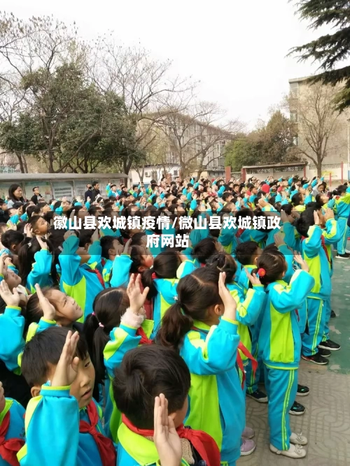 徽山县欢城镇疫情/微山县欢城镇政府网站-第3张图片