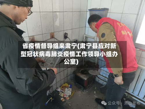 省疫情督导组来肃宁(肃宁县应对新型冠状病毒肺炎疫情工作领导小组办公室)-第1张图片