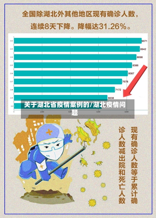 关于湖北省疫情案例的/湖北疫情问题-第3张图片