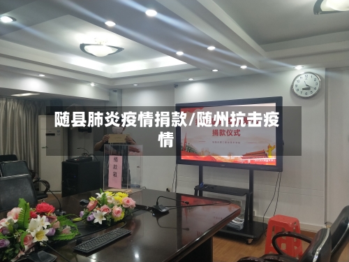 随县肺炎疫情捐款/随州抗击疫情-第3张图片