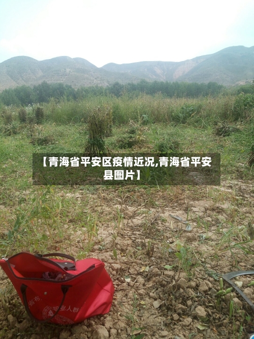 【青海省平安区疫情近况,青海省平安县图片】-第3张图片