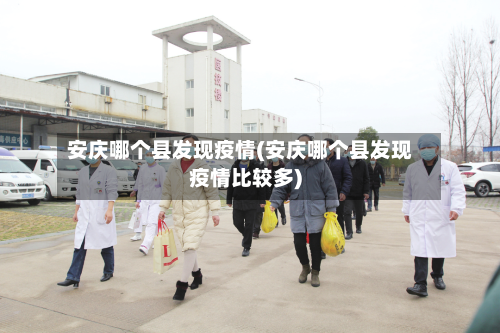 安庆哪个县发现疫情(安庆哪个县发现疫情比较多)-第2张图片
