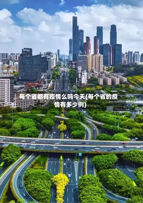 每个省都有疫情么吗今天(每个省的疫情有多少例)-第2张图片