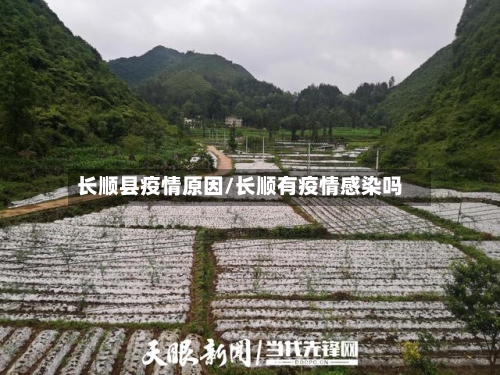 长顺县疫情原因/长顺有疫情感染吗-第1张图片