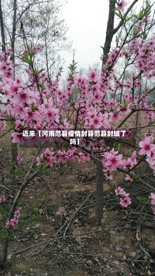 近来【河南范县疫情封县范县封城了吗】-第2张图片