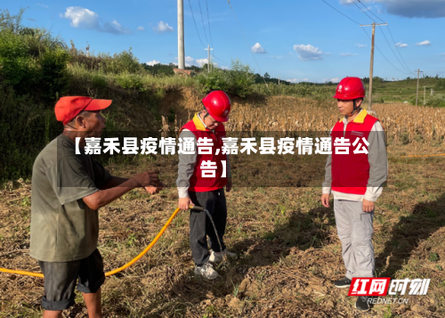 【嘉禾县疫情通告,嘉禾县疫情通告公告】-第2张图片