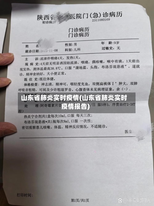 山东省肺炎实时疫情(山东省肺炎实时疫情报告)-第1张图片