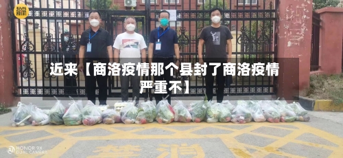 近来【商洛疫情那个县封了商洛疫情严重不】-第3张图片