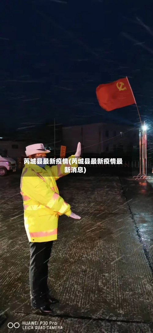 芮城县最新疫情(芮城县最新疫情最新消息)-第2张图片