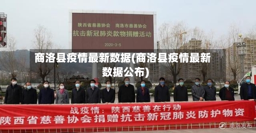 商洛县疫情最新数据(商洛县疫情最新数据公布)-第3张图片