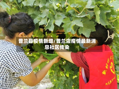 普兰县疫情新增/普兰店疫情最新消息社区传染-第1张图片