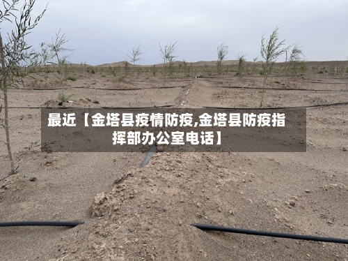 最近【金塔县疫情防疫,金塔县防疫指挥部办公室电话】-第2张图片