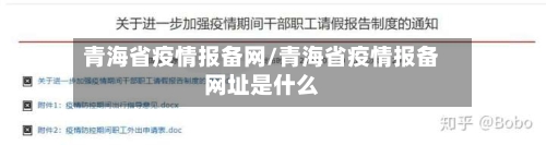 青海省疫情报备网/青海省疫情报备网址是什么-第1张图片